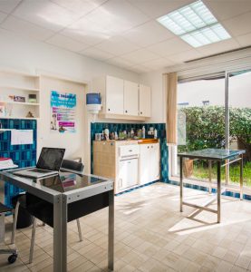 salle consultation clinique veterinaire stalingrad