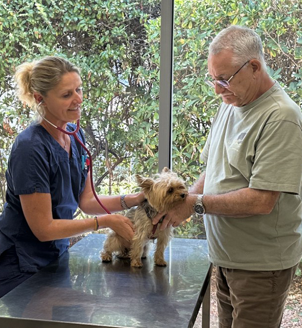 salle consultation clinique veterinaire stalingrad