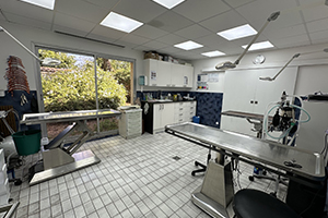 prise en charge nouveaux animaux de compagnie